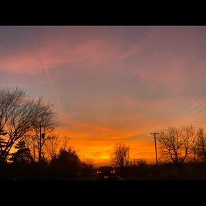 Meet your Posher, Brayden